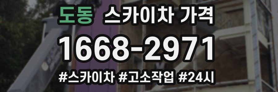 도동 스카이차 가격