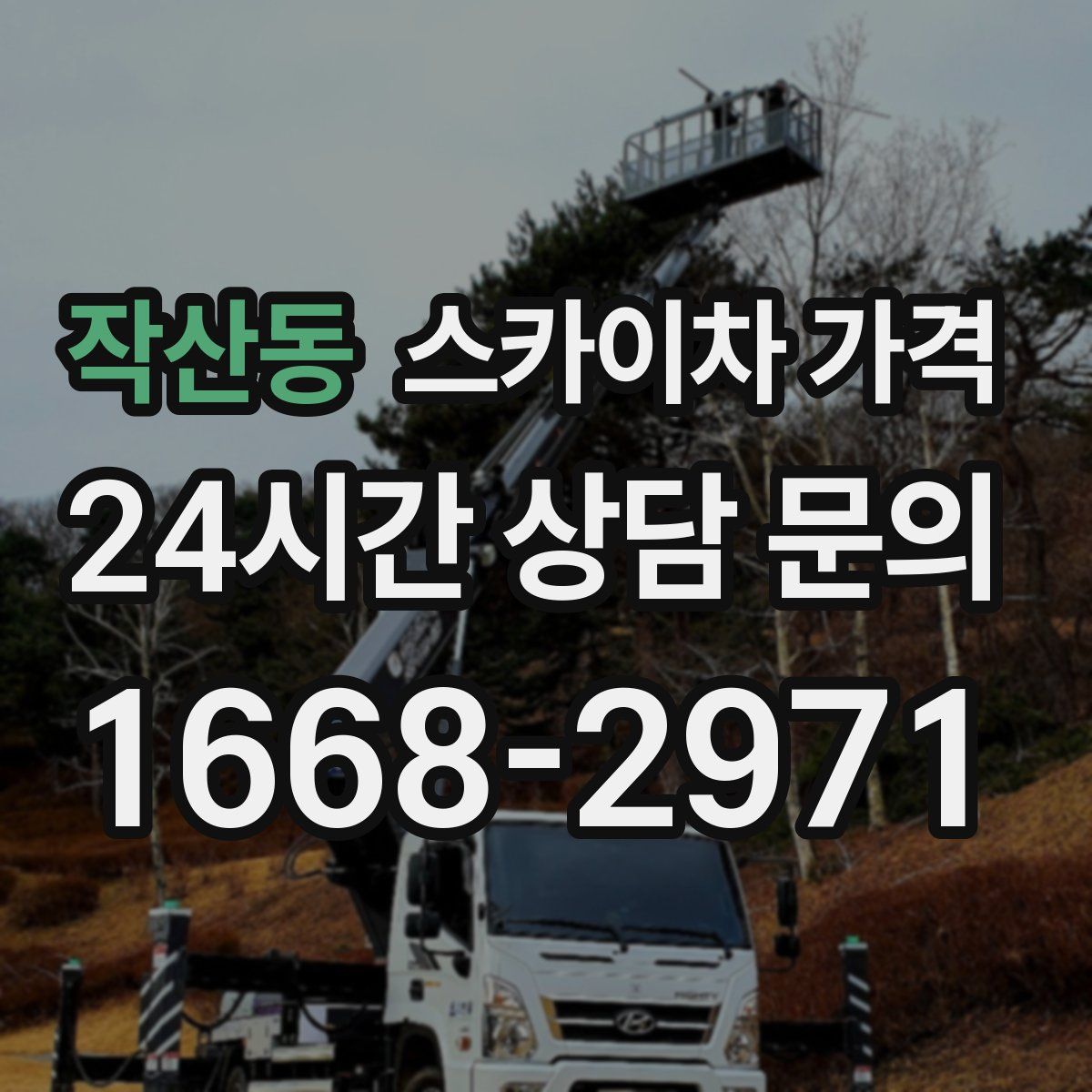 작산동 스카이차 가격