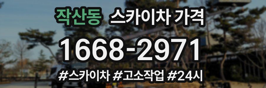 작산동 스카이차 가격