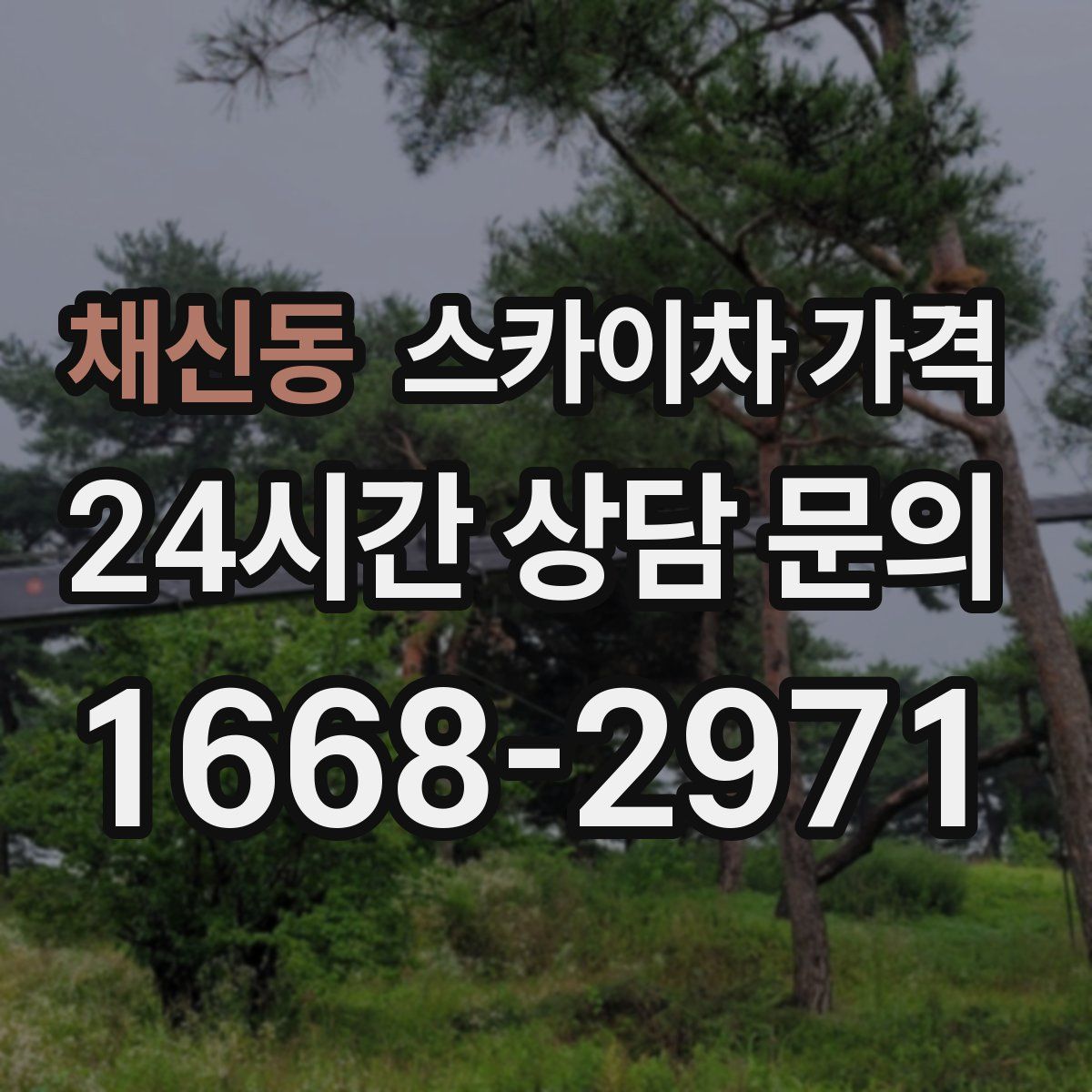 채신동 스카이차 가격