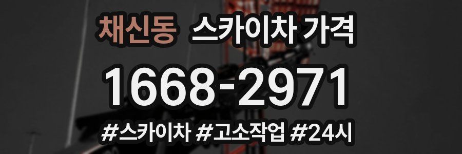 채신동 스카이차 가격