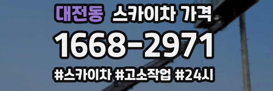 대전동 스카이차 가격