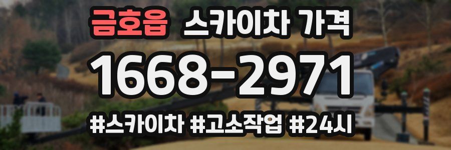 금호읍 스카이차 가격