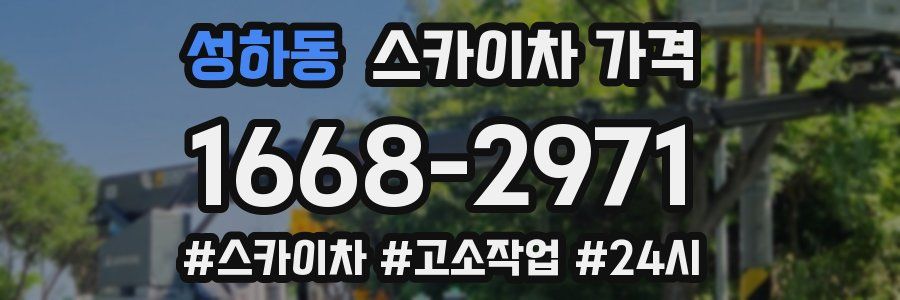 성하동 스카이차 가격