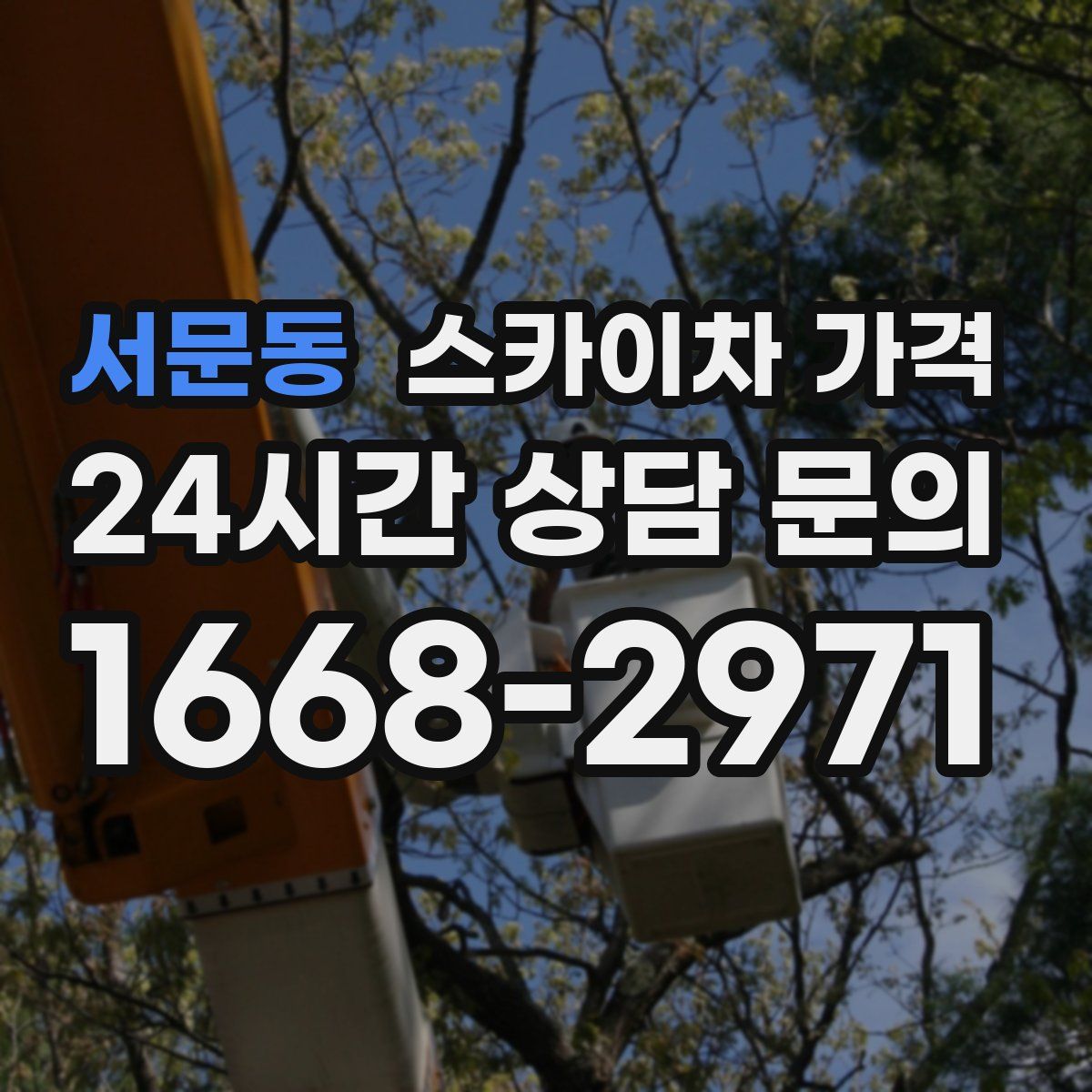 서문동 스카이차 가격