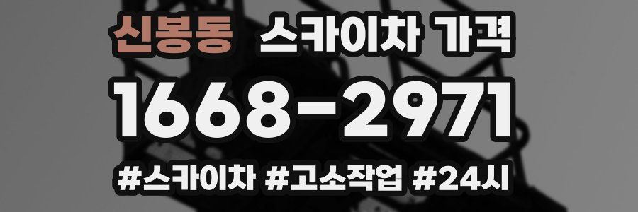 신봉동 스카이차 가격