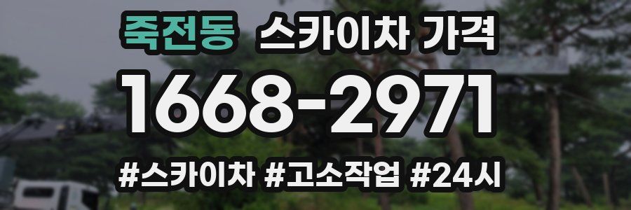 죽전동 스카이차 가격