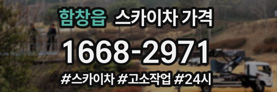 함창읍 스카이차 가격