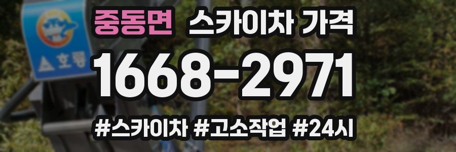 중동면 스카이차 가격