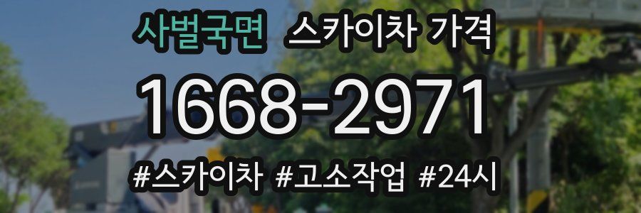 사벌국면 스카이차 가격