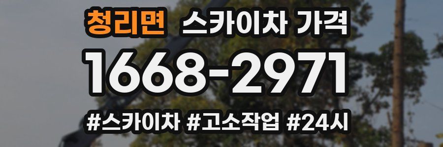 청리면 스카이차 가격