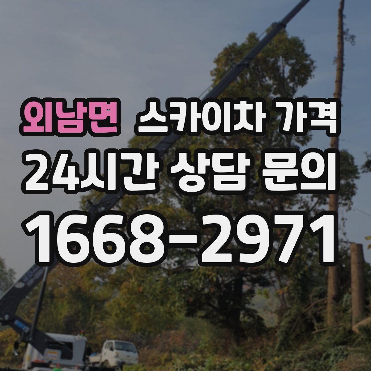 외남면 스카이차 가격