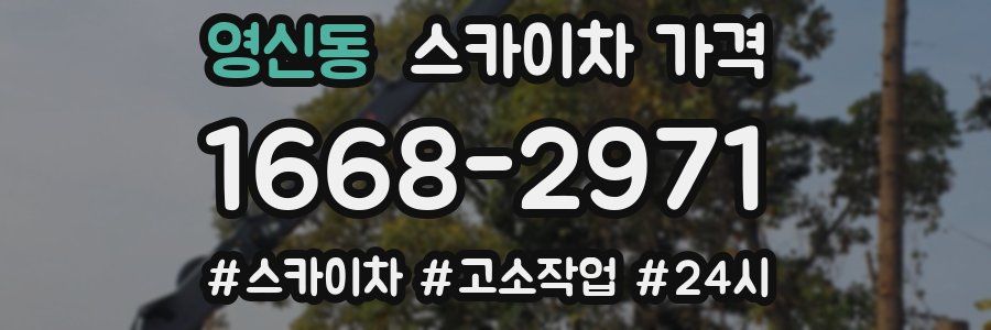 영신동 스카이차 가격