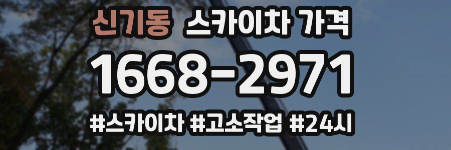 신기동 스카이차 가격