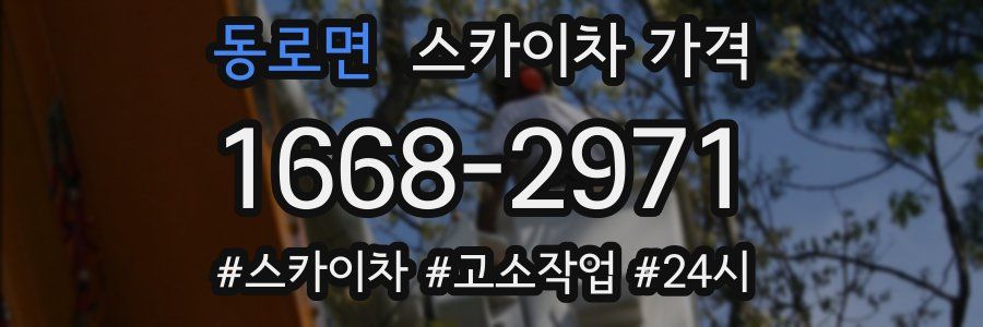 동로면 스카이차 가격