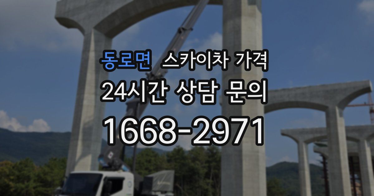 동로면 스카이차 가격