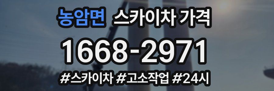 농암면 스카이차 가격