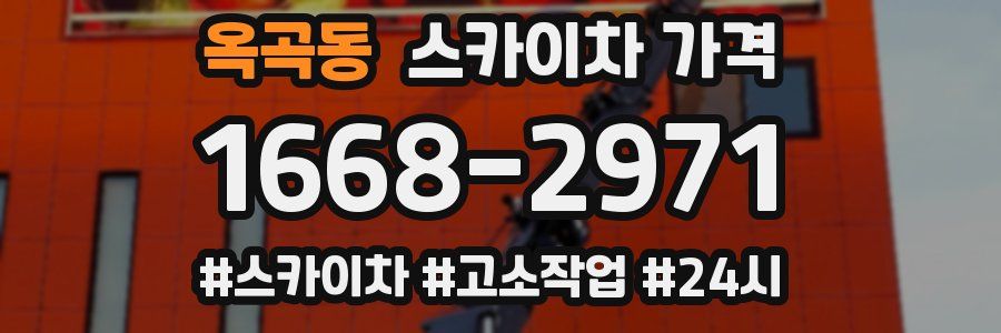 옥곡동 스카이차 가격