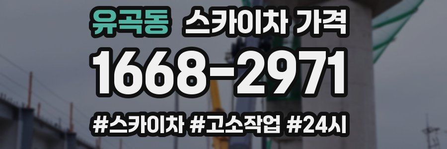 유곡동 스카이차 가격