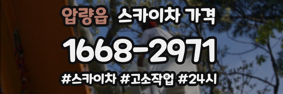 압량읍 스카이차 가격