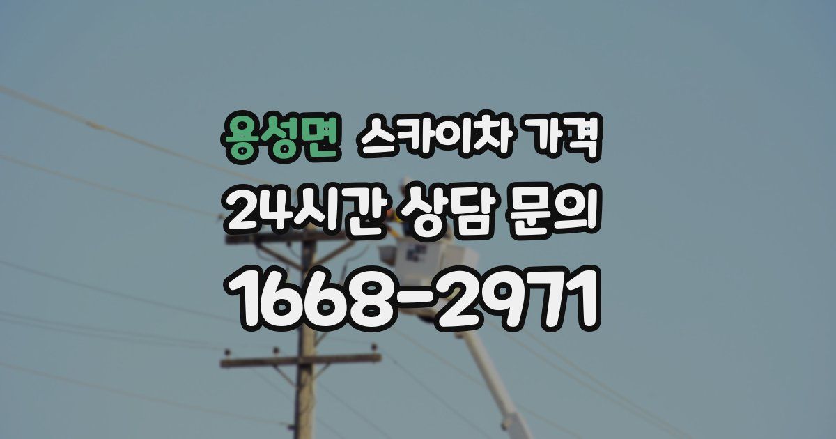 용성면 스카이차 가격