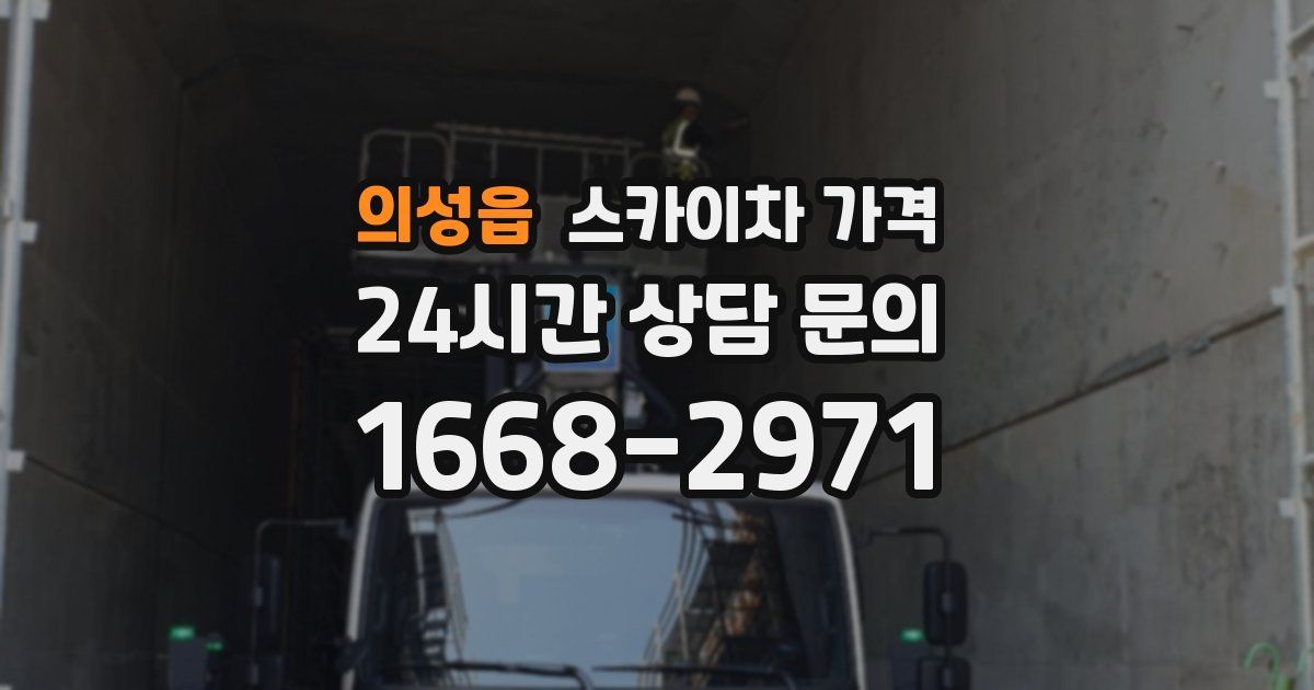 의성읍 스카이차 가격