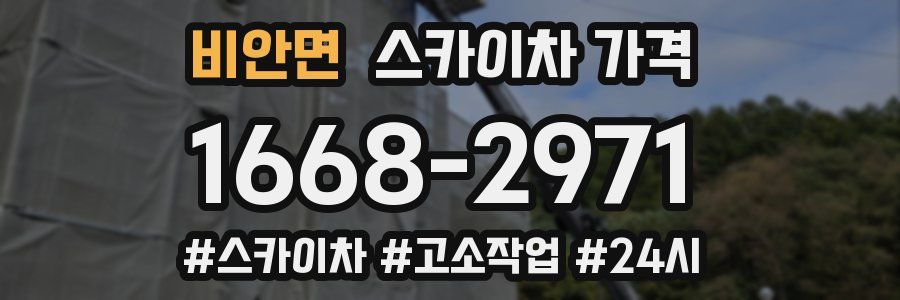 비안면 스카이차 가격