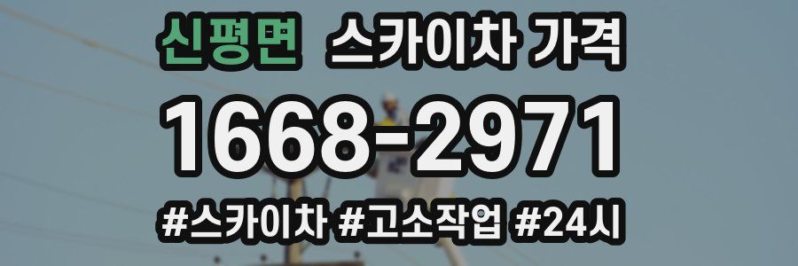 신평면 스카이차 가격