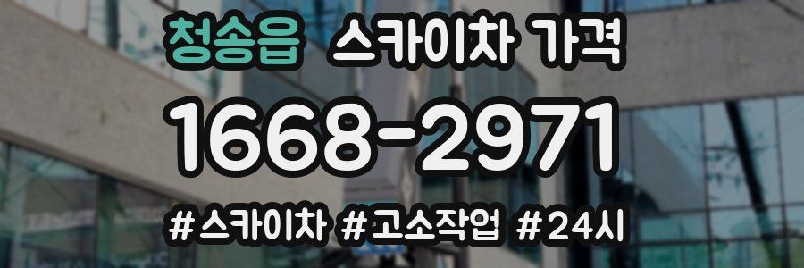 청송읍 스카이차 가격