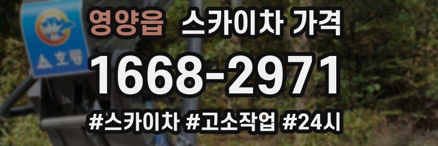 영양읍 스카이차 가격