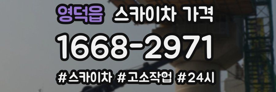 영덕읍 스카이차 가격