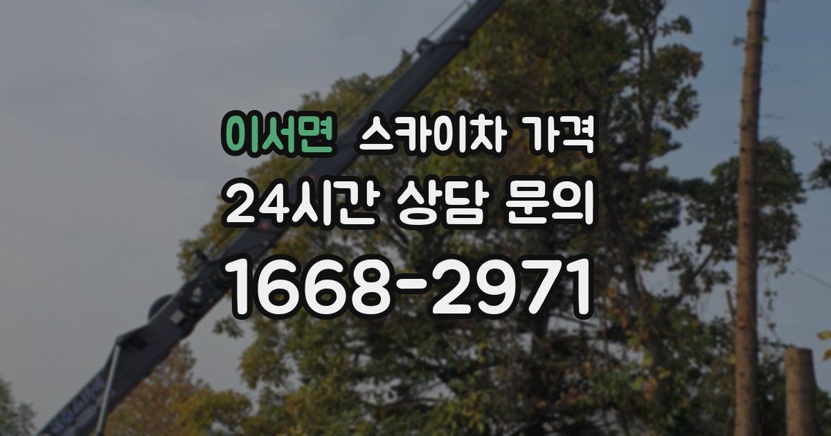 이서면 스카이차 가격