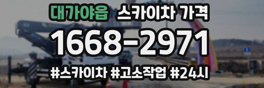 대가야읍 스카이차 가격