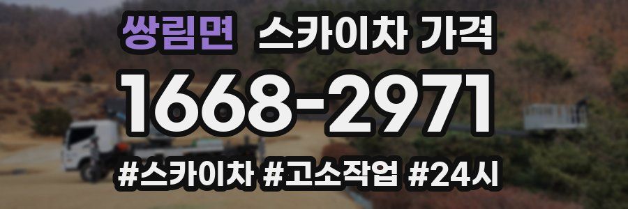 쌍림면 스카이차 가격