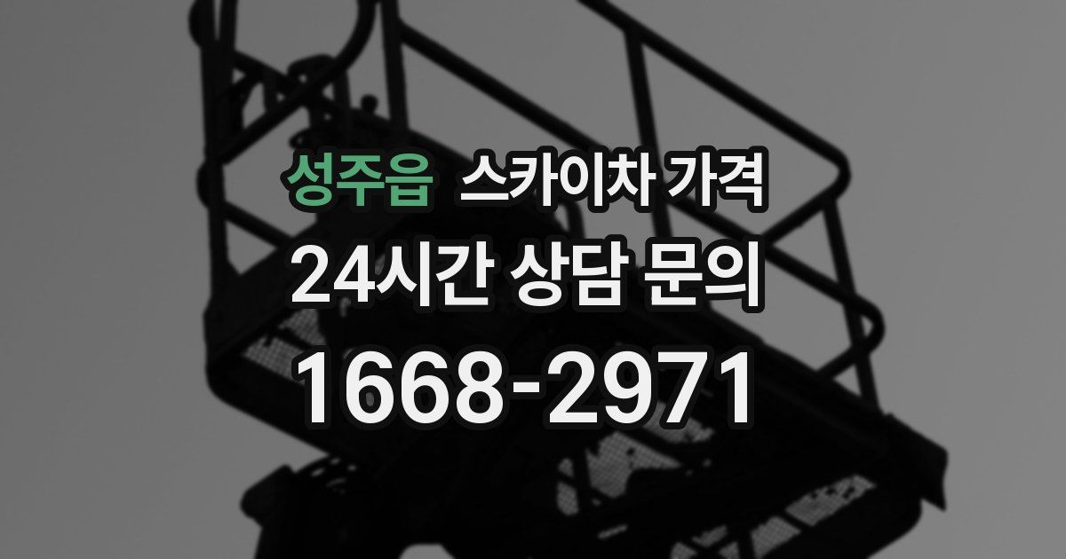 성주읍 스카이차 가격