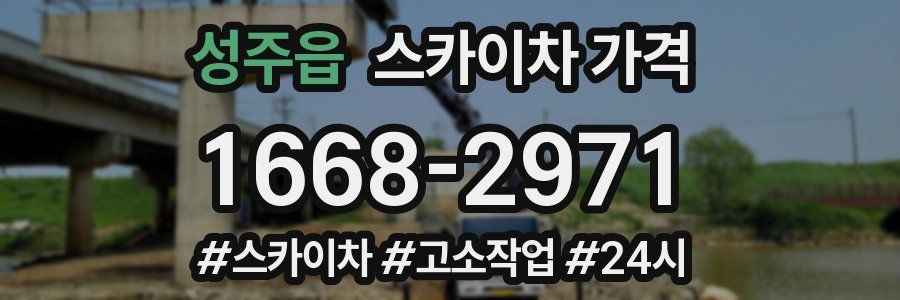 성주읍 스카이차 가격