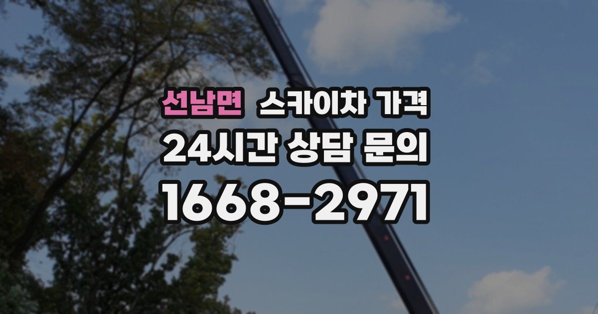 선남면 스카이차 가격