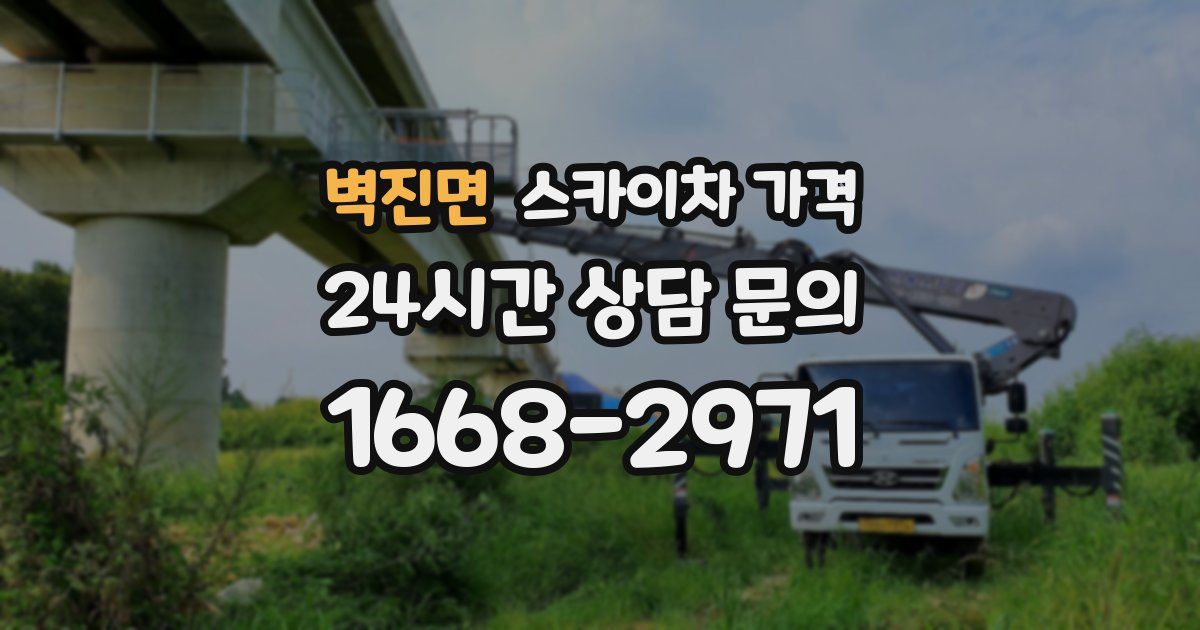 벽진면 스카이차 가격