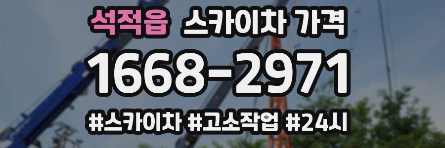 석적읍 스카이차 가격