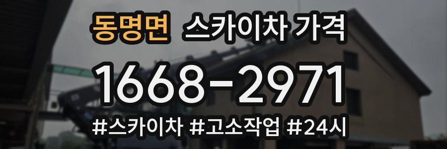 동명면 스카이차 가격