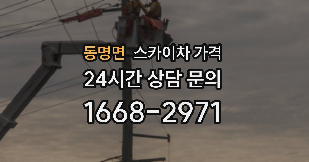 동명면 스카이차 가격