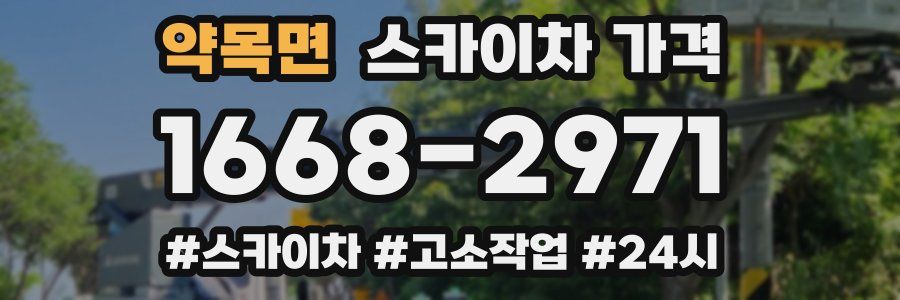 약목면 스카이차 가격