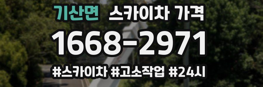 기산면 스카이차 가격