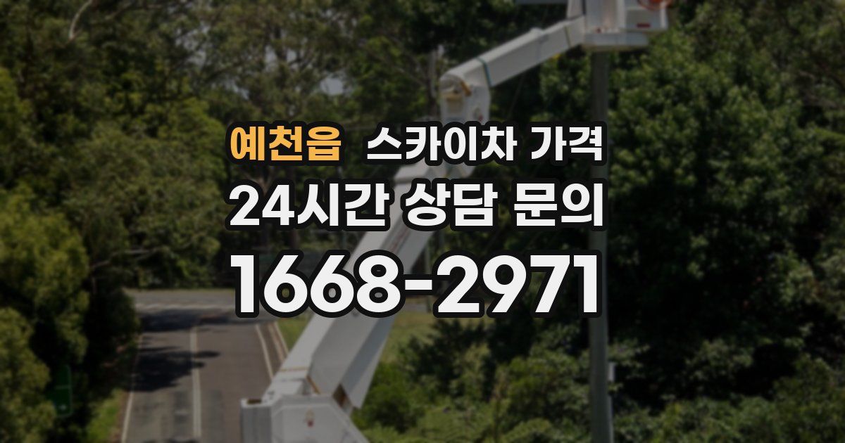 예천읍 스카이차 가격