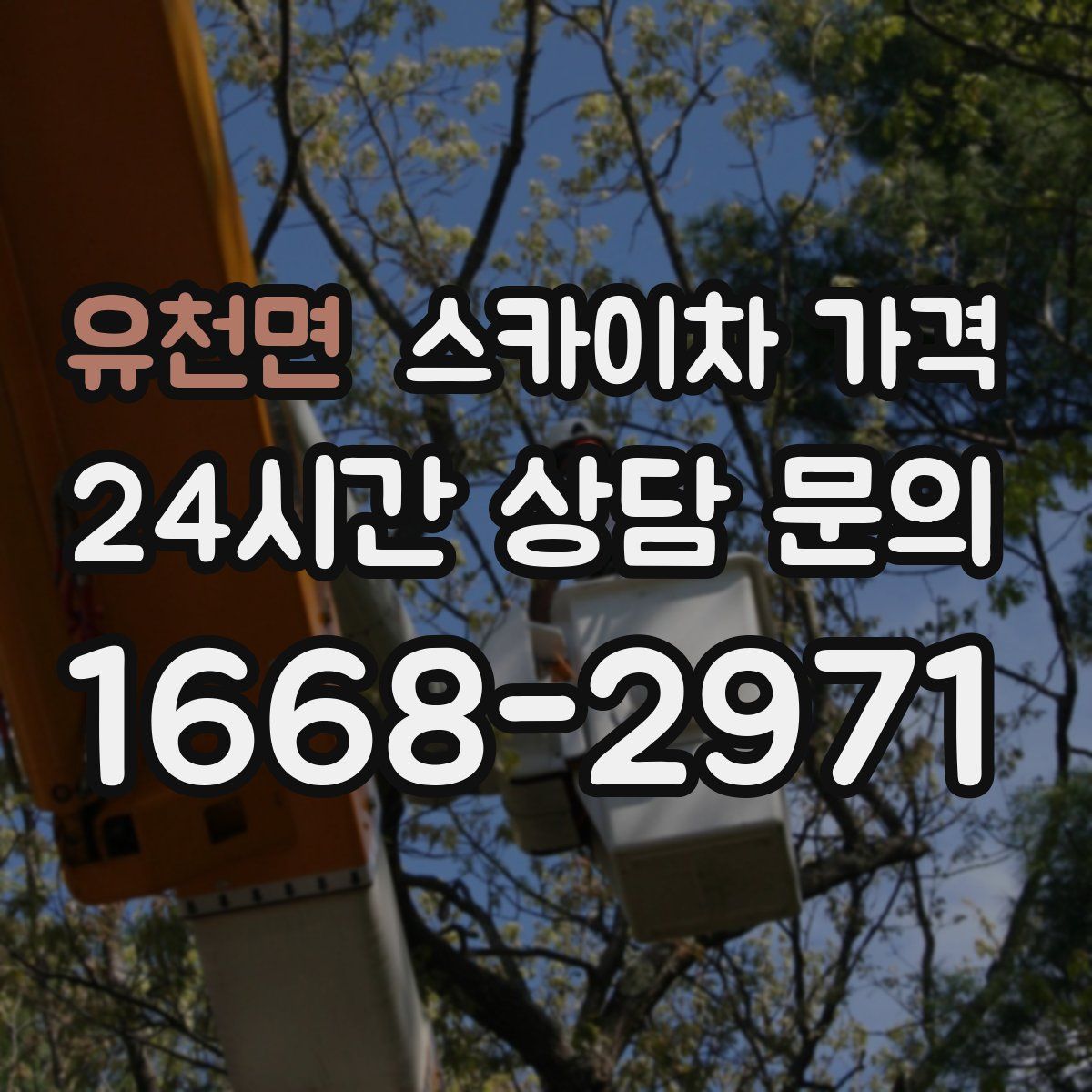 유천면 스카이차 가격