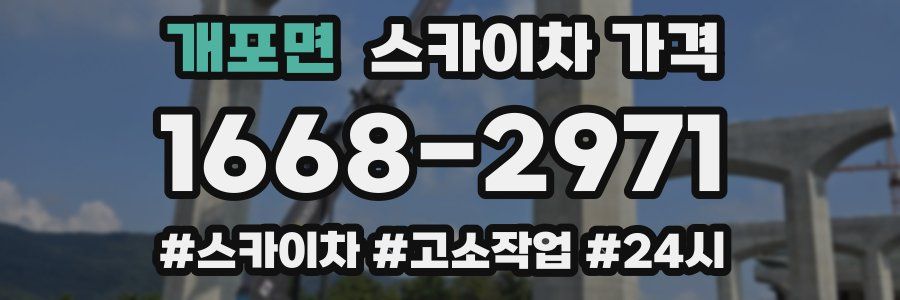 개포면 스카이차 가격