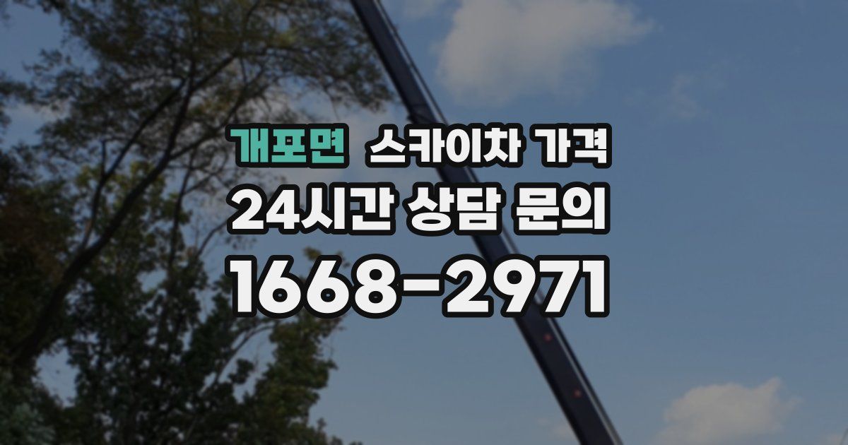 개포면 스카이차 가격