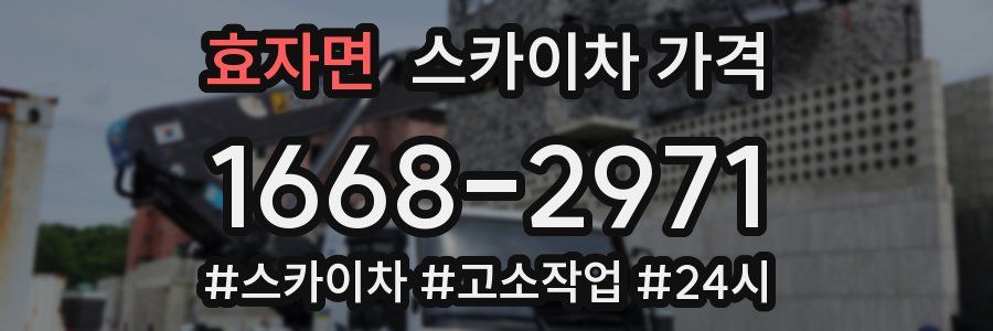 효자면 스카이차 가격