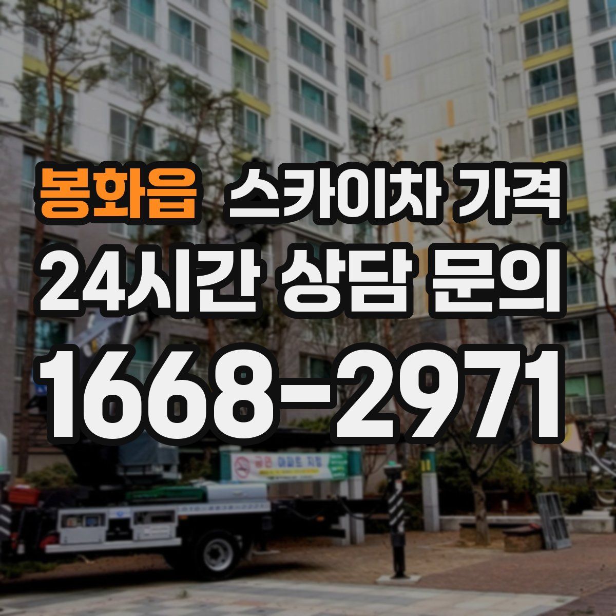 봉화읍 스카이차 가격