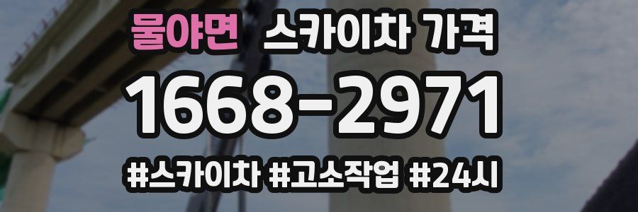 물야면 스카이차 가격